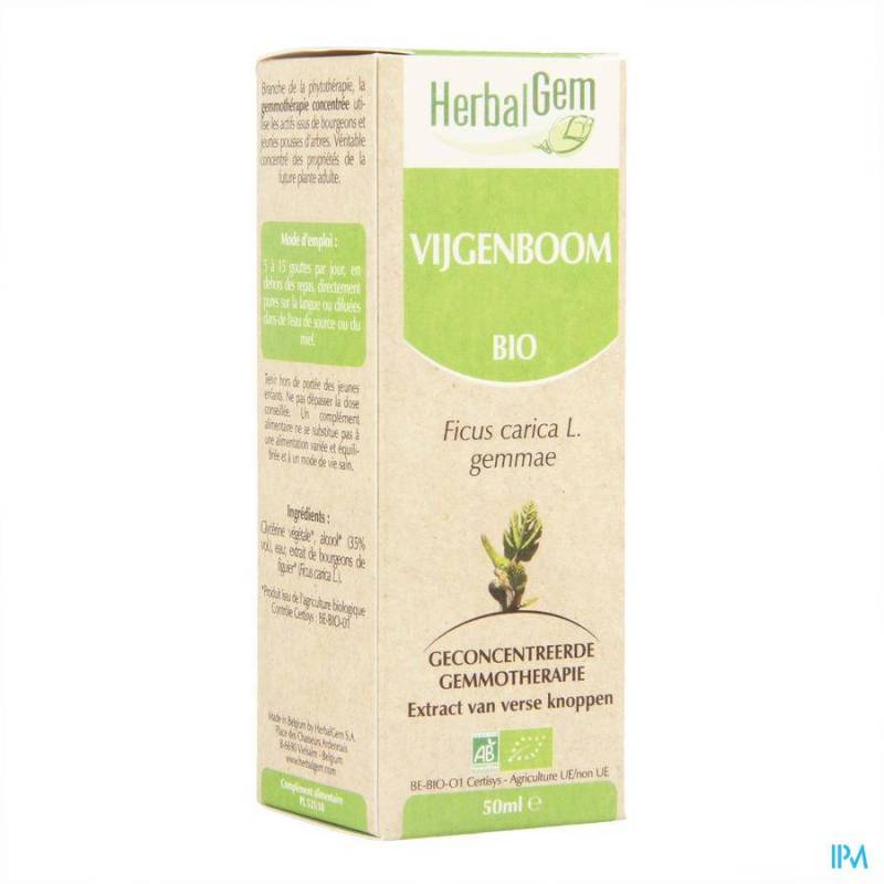 Herbalgem Vijgenboom Maceraat 50ml