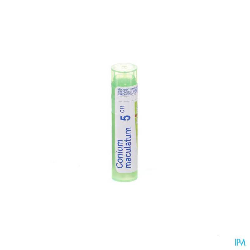 Conium Maculatum 5ch Gr 4g Boiron