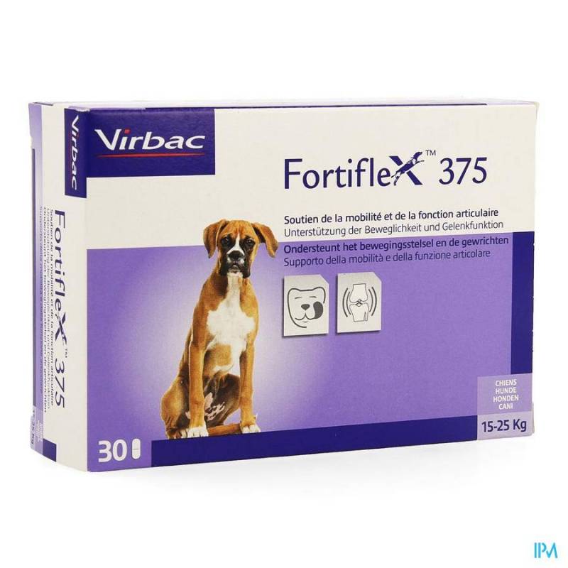 Fortiflex 375 Tabletten 3x10
