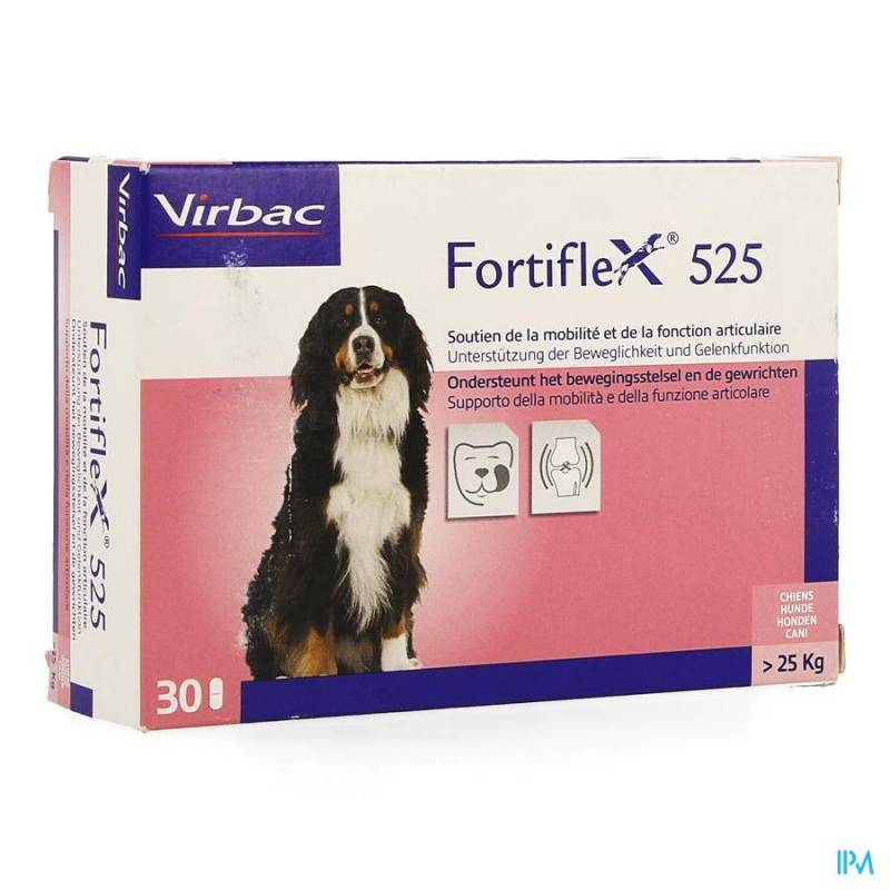 Fortiflex 525 Tabletten 3x10