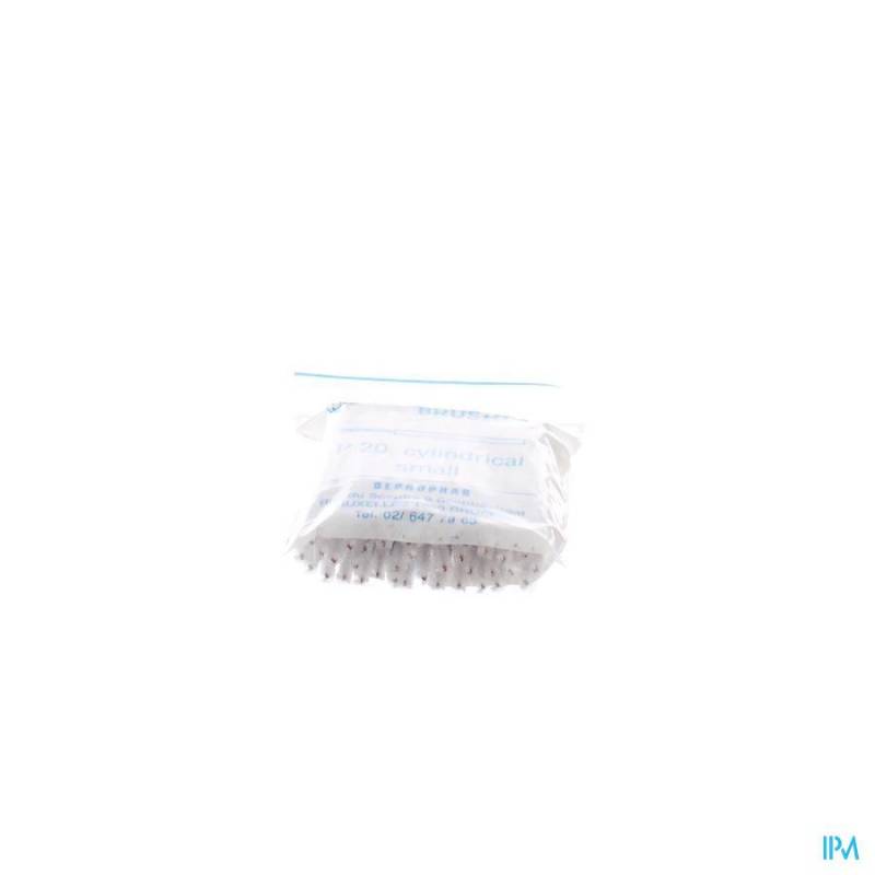 PROXIMAL BROSSE A/MANCHE CYLINDRIQUE SMALL 50 P20