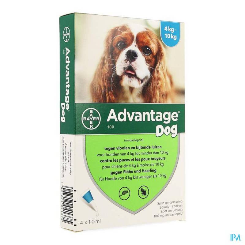 Advantage 100 Honden 4