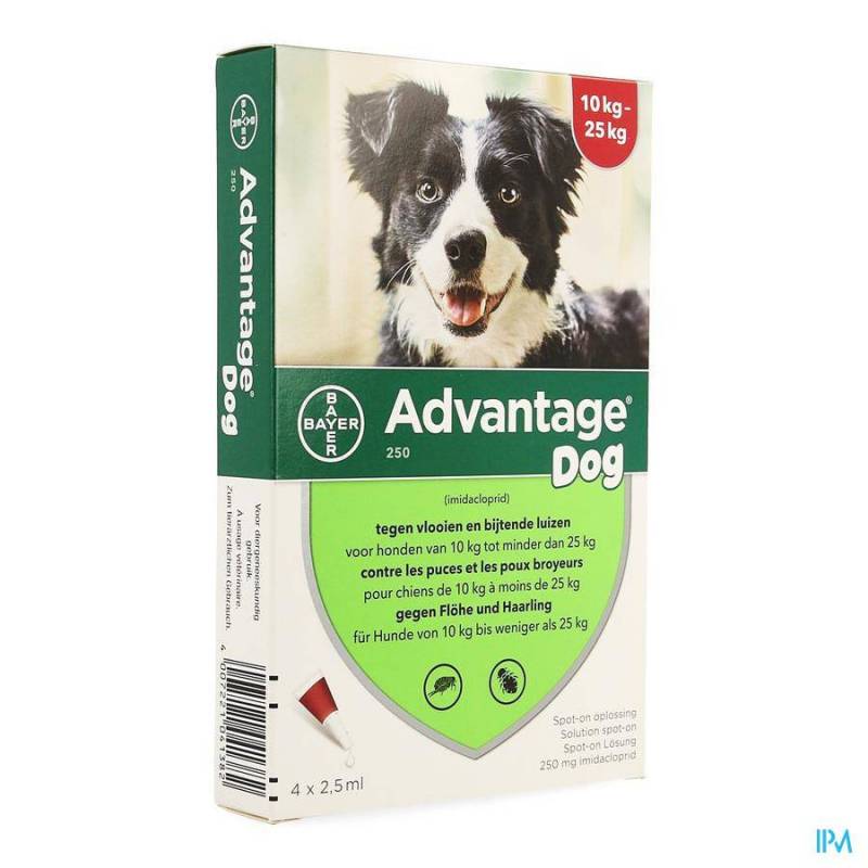 Advantage Hond 250 Spot-On Anti-Vlooien 10-25kg 4x2,5ml