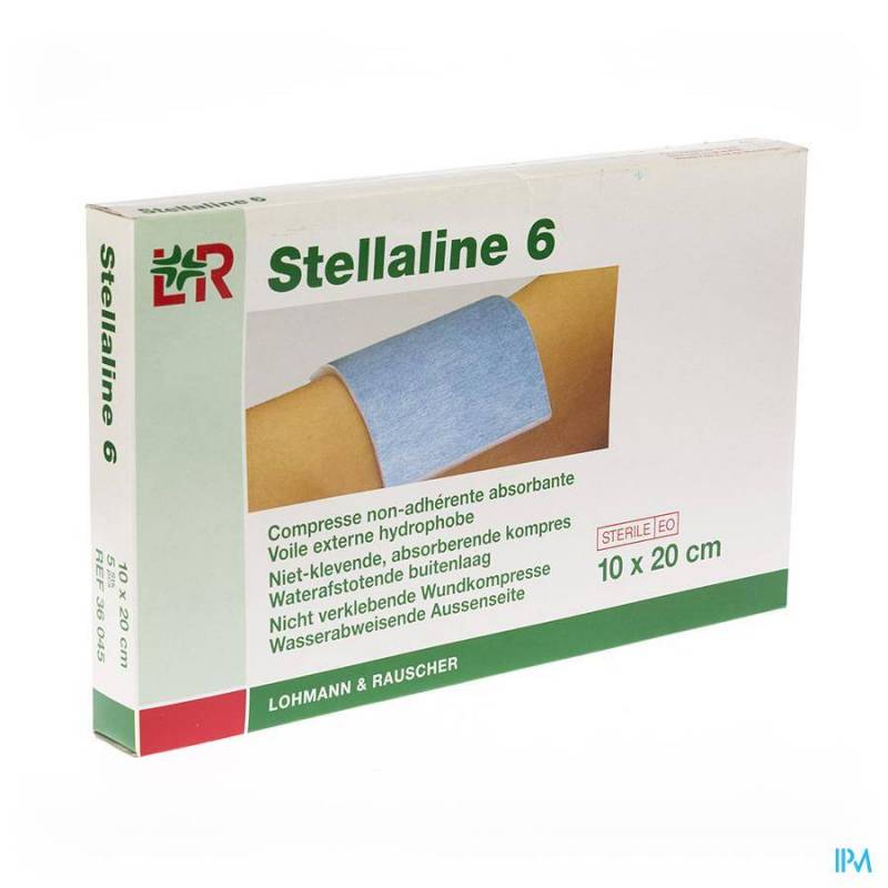 STELLALINE 6 COMP STER 10,0X20,0CM 5 36045