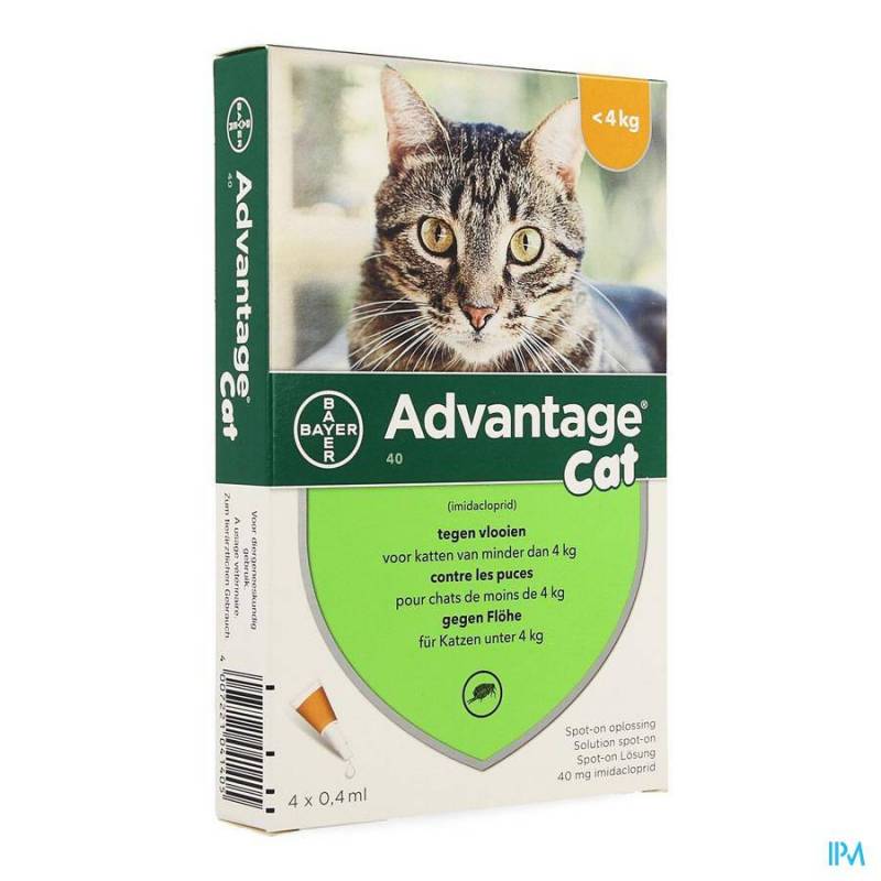 Advantage Kat 40 Spot-On Anti-Vlooien 4kg 4x0,4ml