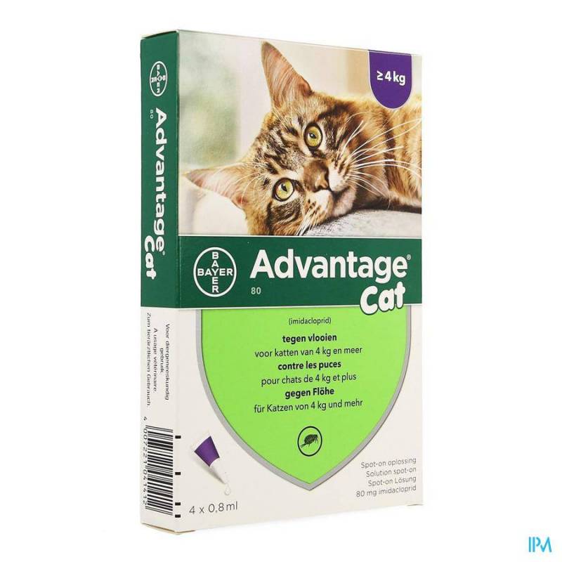 Advantage 80 Katten >4kg 4x0,8ml