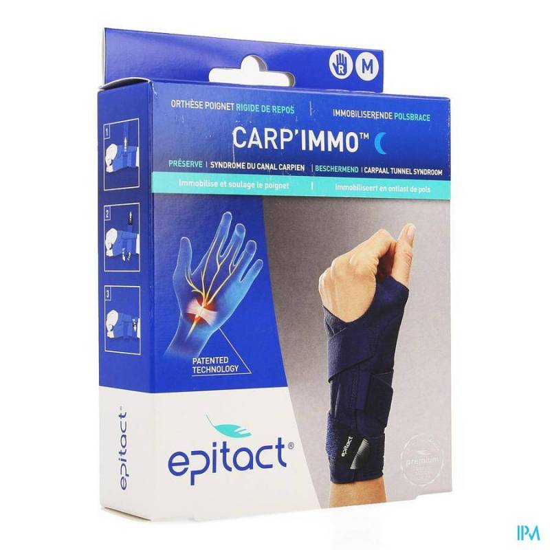 EPITACT CARP\'IMMO POLSBRACE RECHTS M