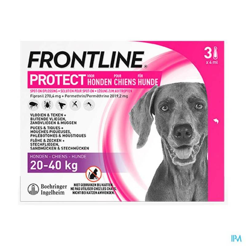 Kritiek Port dennenboom FRONTLINE PROTECT SPOT ON OPL HOND L 20--Online apotheek-Pharmazone