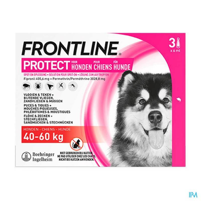 FRONTLINE PROTECT SPOT ON SOL CHIEN XL 4
