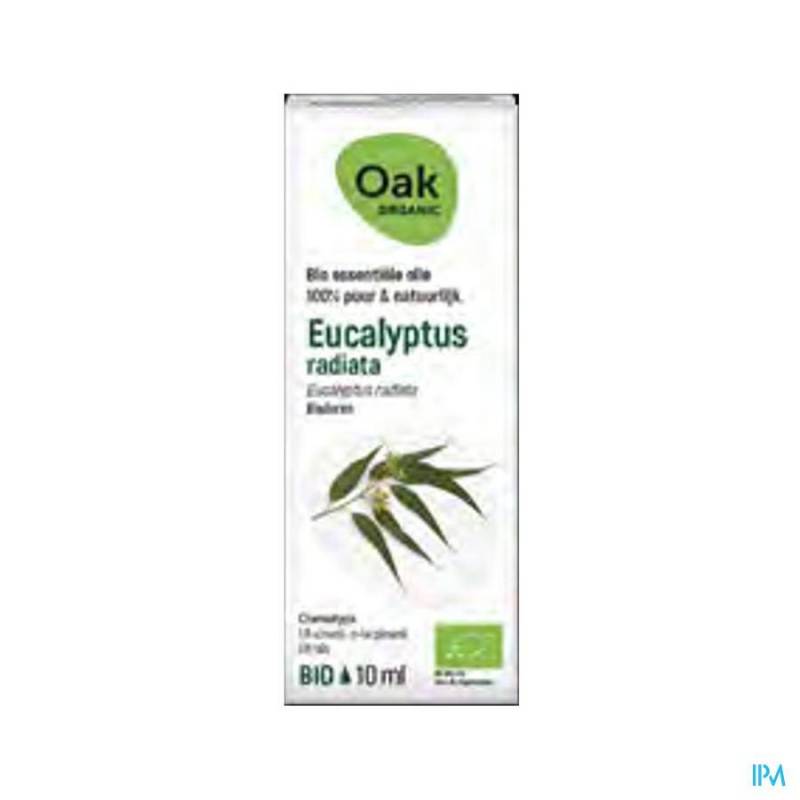 OAK ESS OLIE EUCALYPTUS RADIATA 10ML BIO