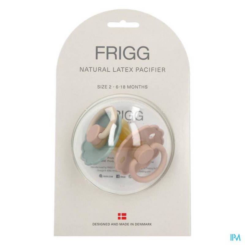 FRIGG DAISY 2 LAT WILLOW/GOLD       2PCS