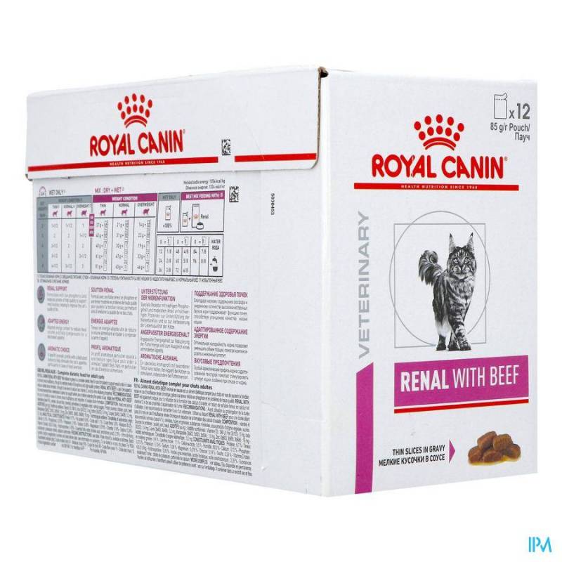 ROYAL CANIN CAT BEEF POUCH WET 12X85G