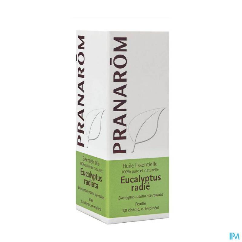 Eucalyptus Radiata Ess Olie 10ml Pranarom