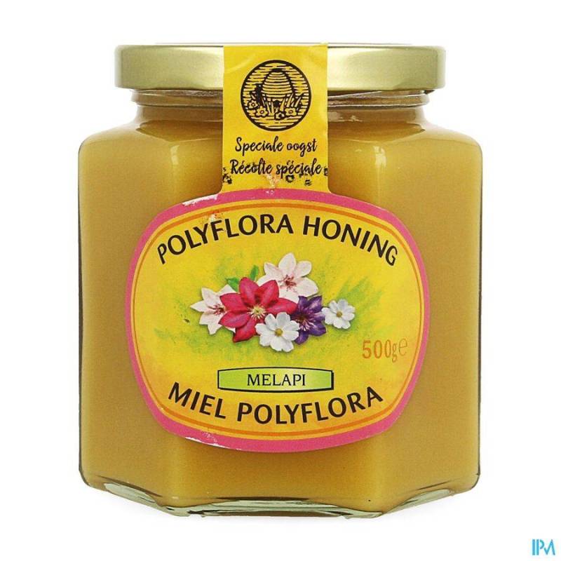 Melapi Honing Polyflora Zacht 500g 5531