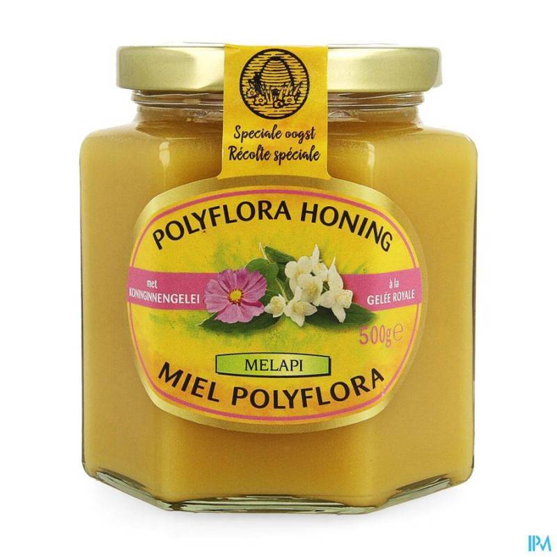 MELAPI POLYFLORA+GELEE ROYALE 500G 5534