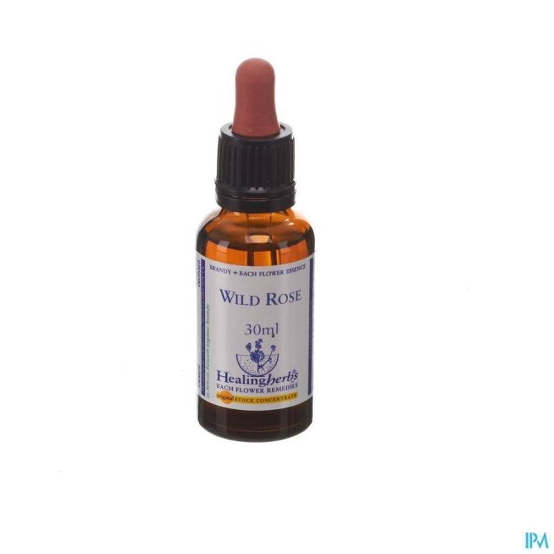 HEALING HERBS WILD ROSE 30ML