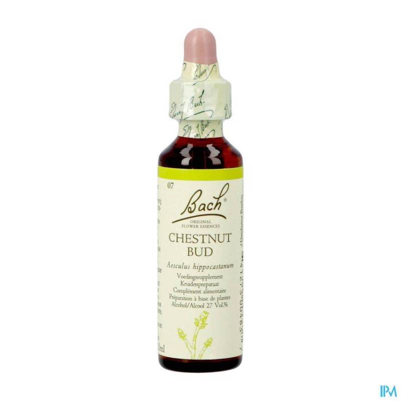 BACH FLOWER REMEDIE 07 CHESTNUT BUD 20ML