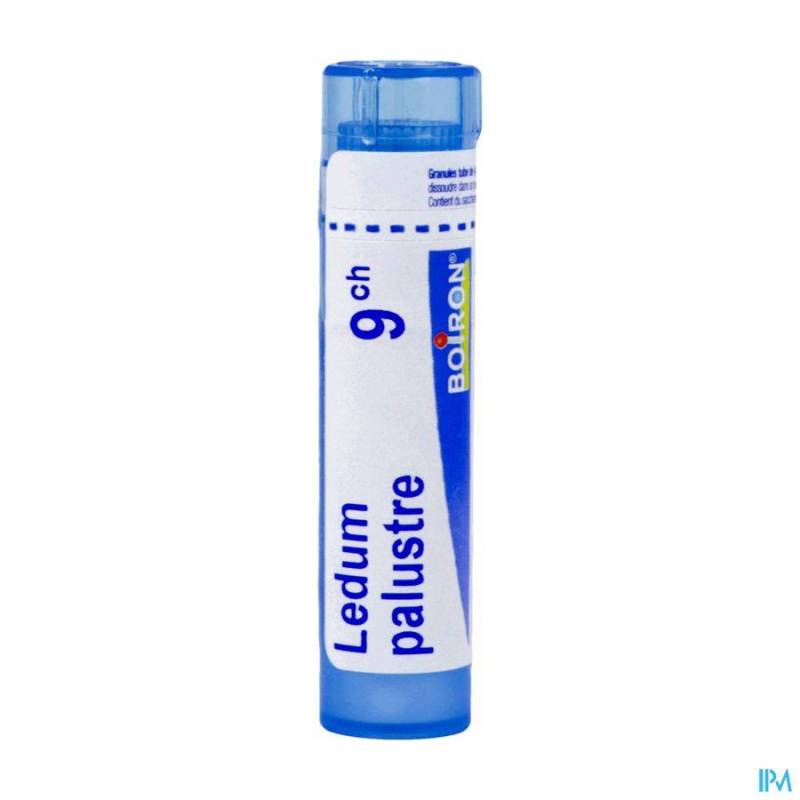 Ledum Palustre 9ch Gr 4g Boiron