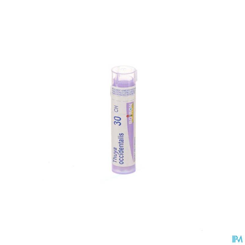Thuya Occidentalis 30ch Gr 4g Boiron