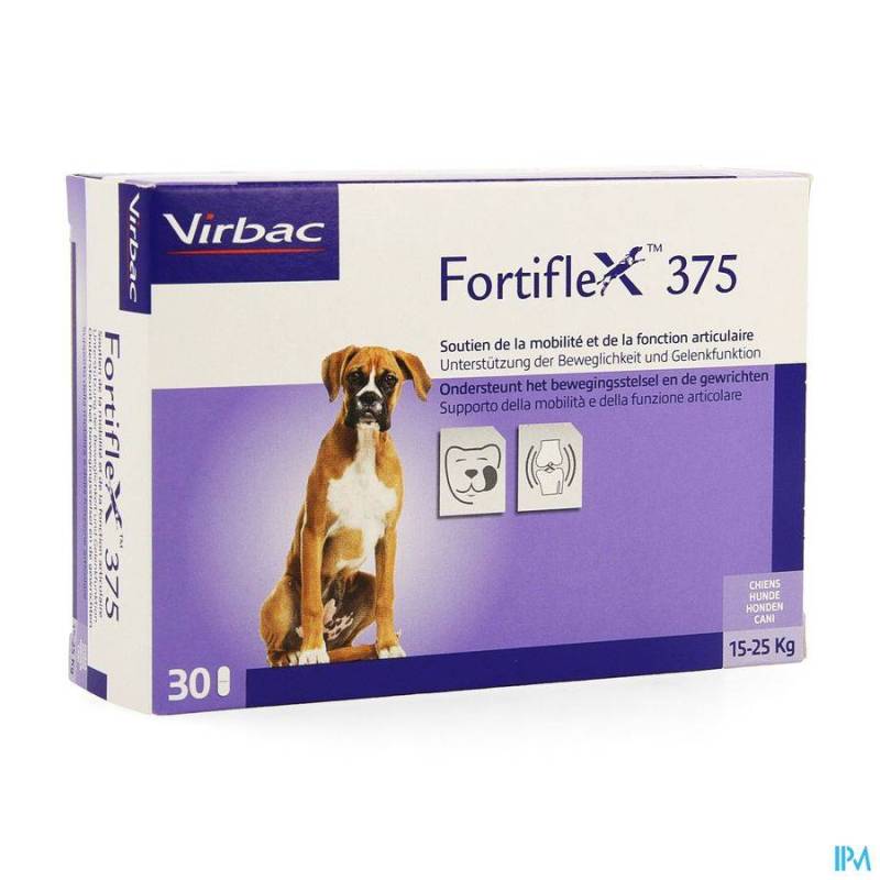 Fortiflex 375 Tabletten 3x10