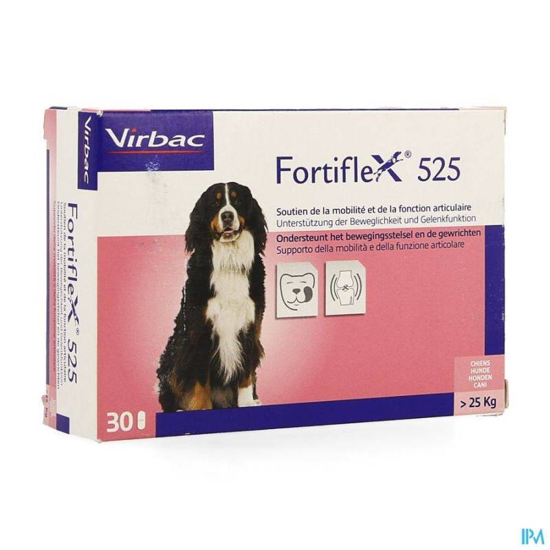 Fortiflex 525 Tabletten 3x10