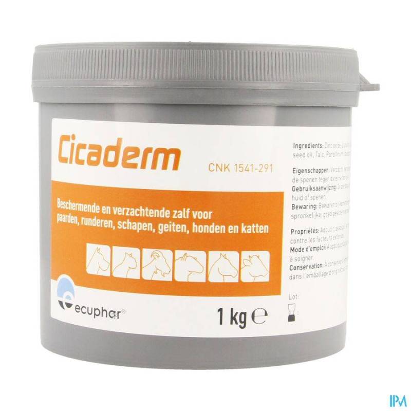 CICADERM POMMADE 1KG