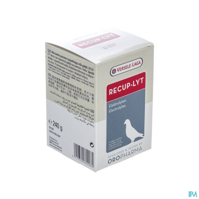 RECUP-LYT PDR SACHET 12X20G