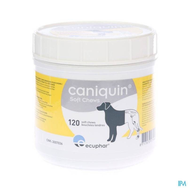 CANIQUIN SOFT CHEWS 120