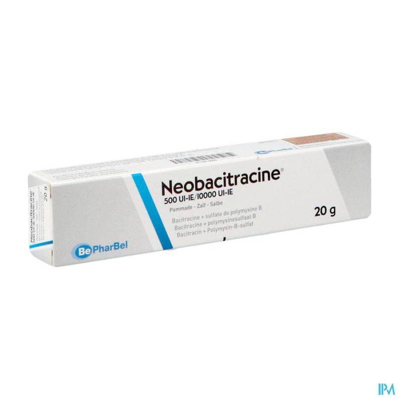 Neobacitracine Nf Pomm. Derm. 20g