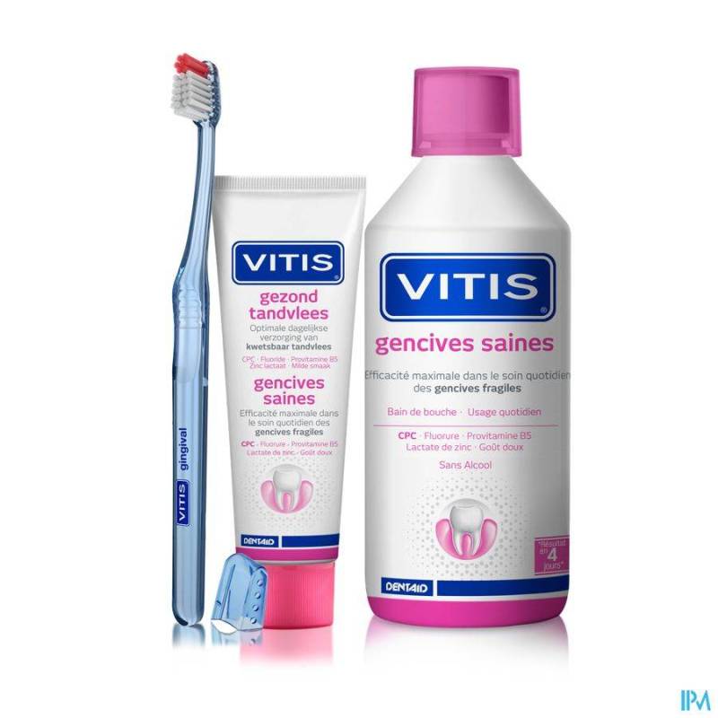 VITIS GINGIVAL BROSSE A DENTS 1 2872