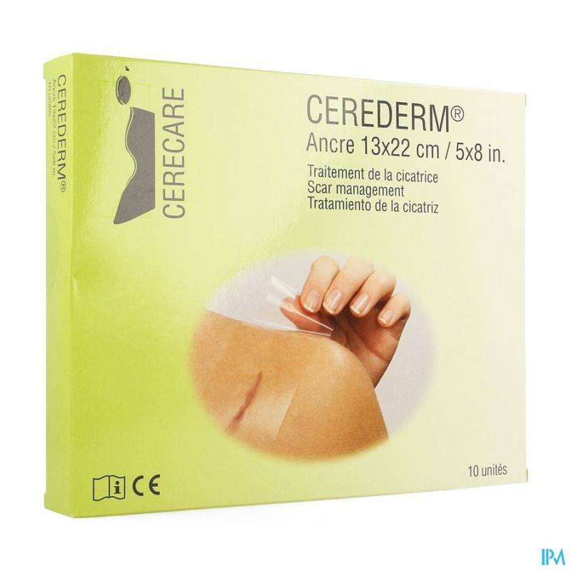 CEREDERM PANS SILIC ANCRE 13X22CM 10 4309697