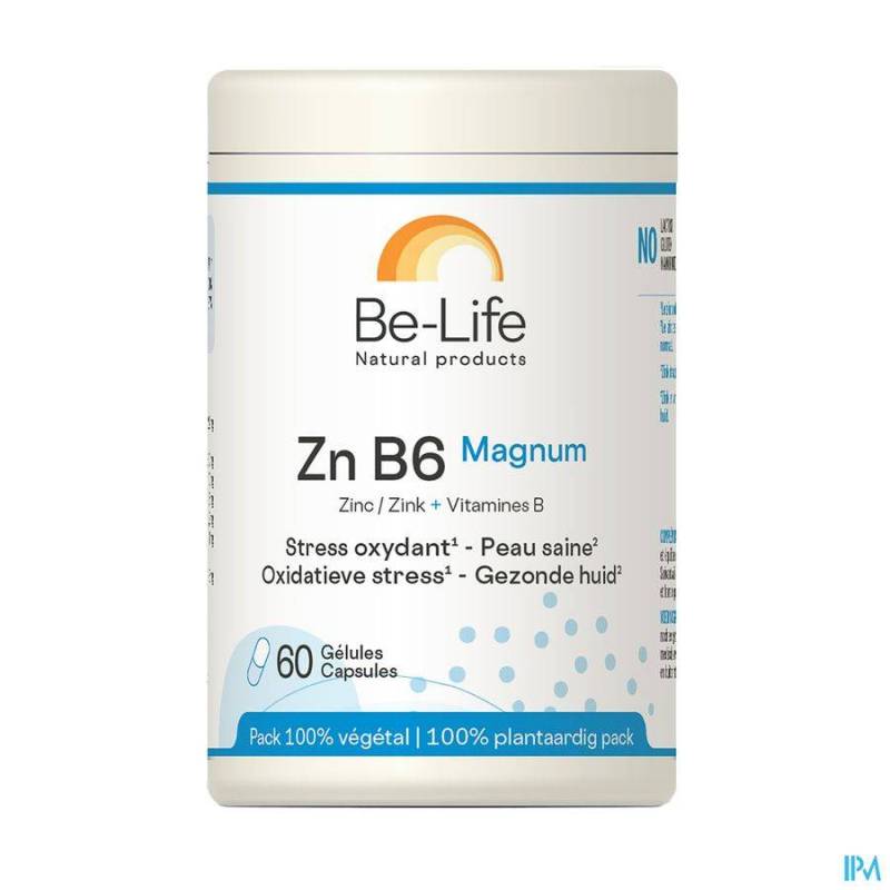 Zn B6 Magnum Minerals Be Life Gel 60