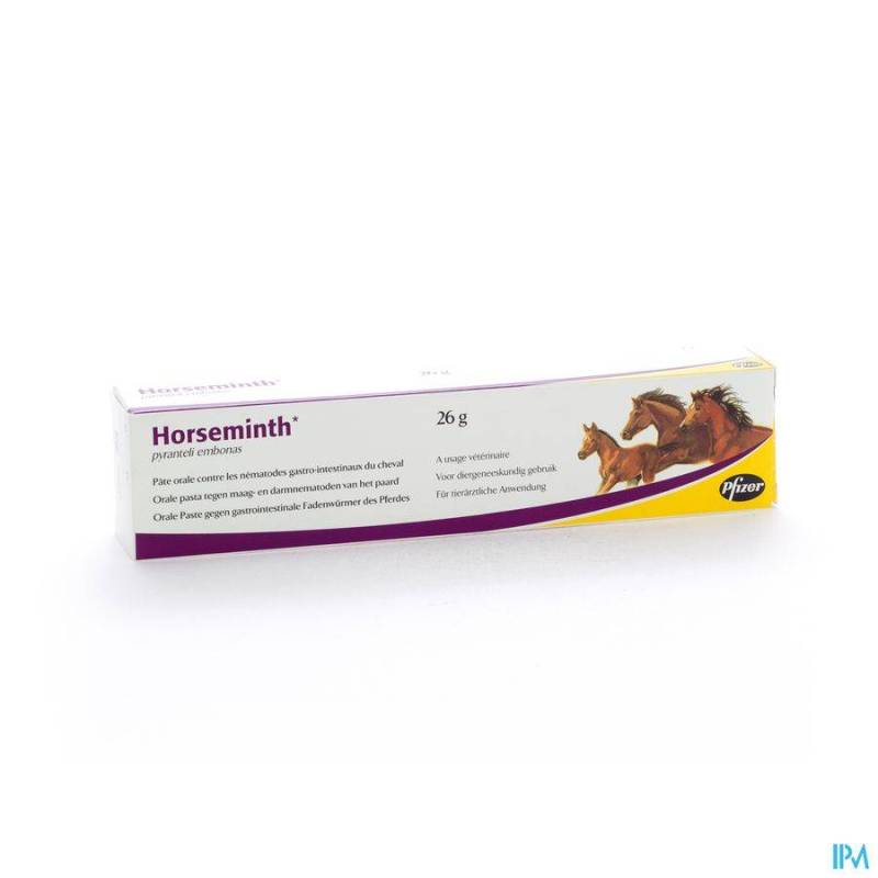 Horseminth Pasta Spuit 1x26g