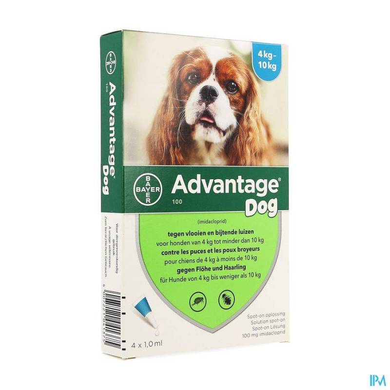 Advantage 100 Honden 4