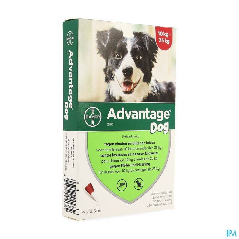 Advantage Hond 250 Spot-On Anti-Vlooien 10-25kg 4x2,5ml