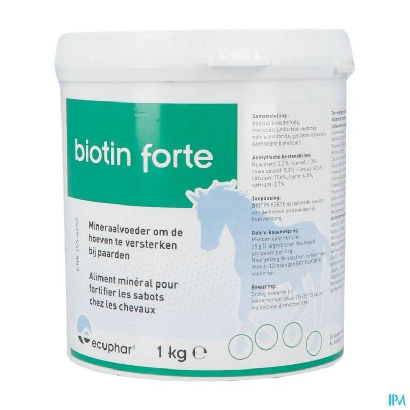 Biotin Forte 1kg