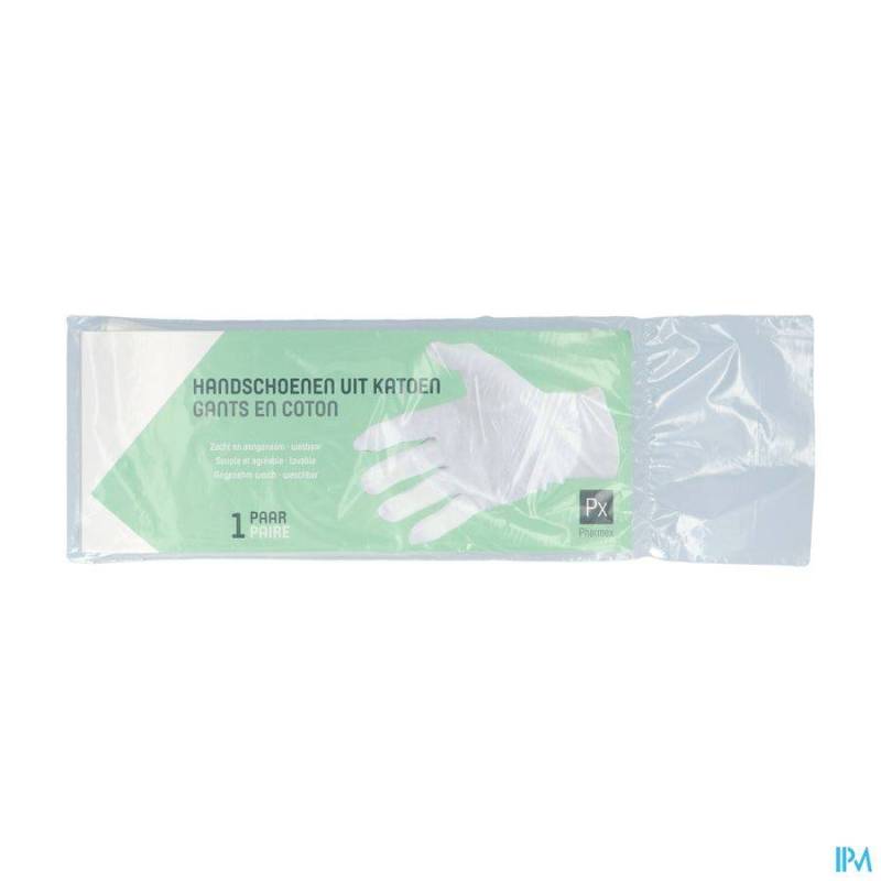 PHARMEX GANTS COTON MEDIUM 2