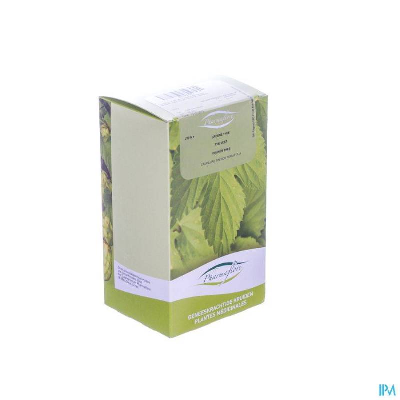 Thee Groen Doos 250g Pharmafl