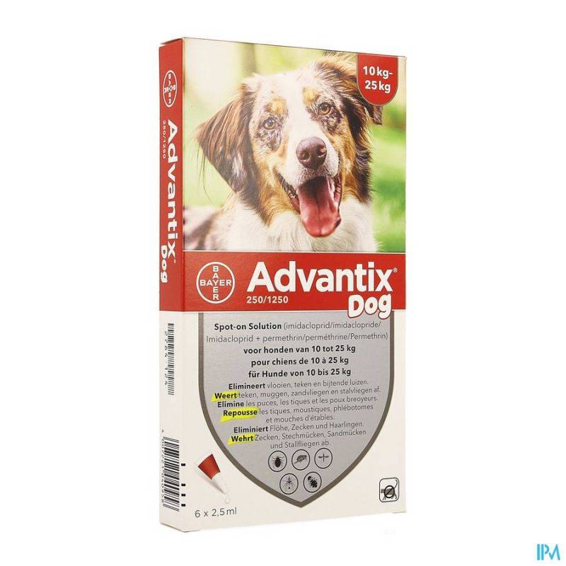 ADVANTIX 250/1250 CHIENS 10