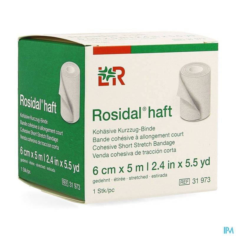 ROSIDAL HAFT BANDE COHESIVE 6CMX5M 1 31973