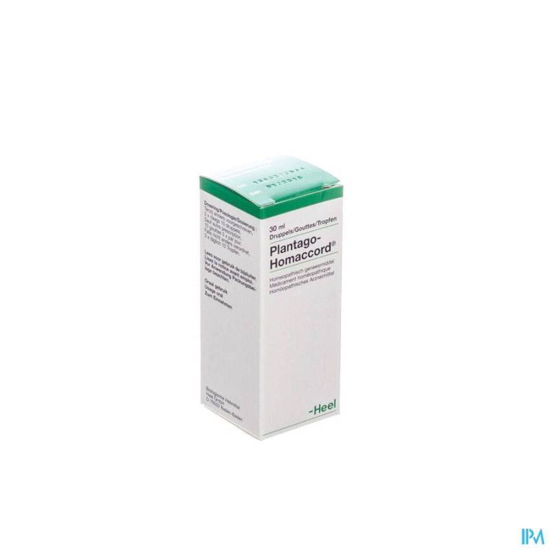 Plantago-homaccord Gutt 30ml Heel