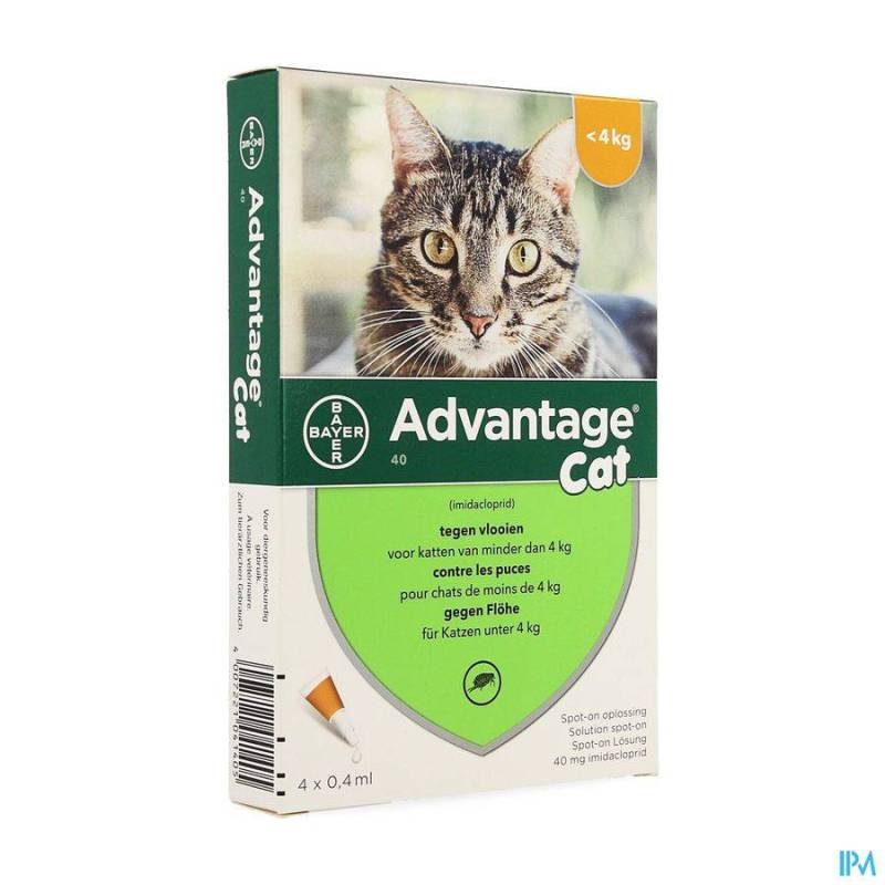 Advantage Kat 40 Spot-On Anti-Vlooien 4kg 4x0,4ml