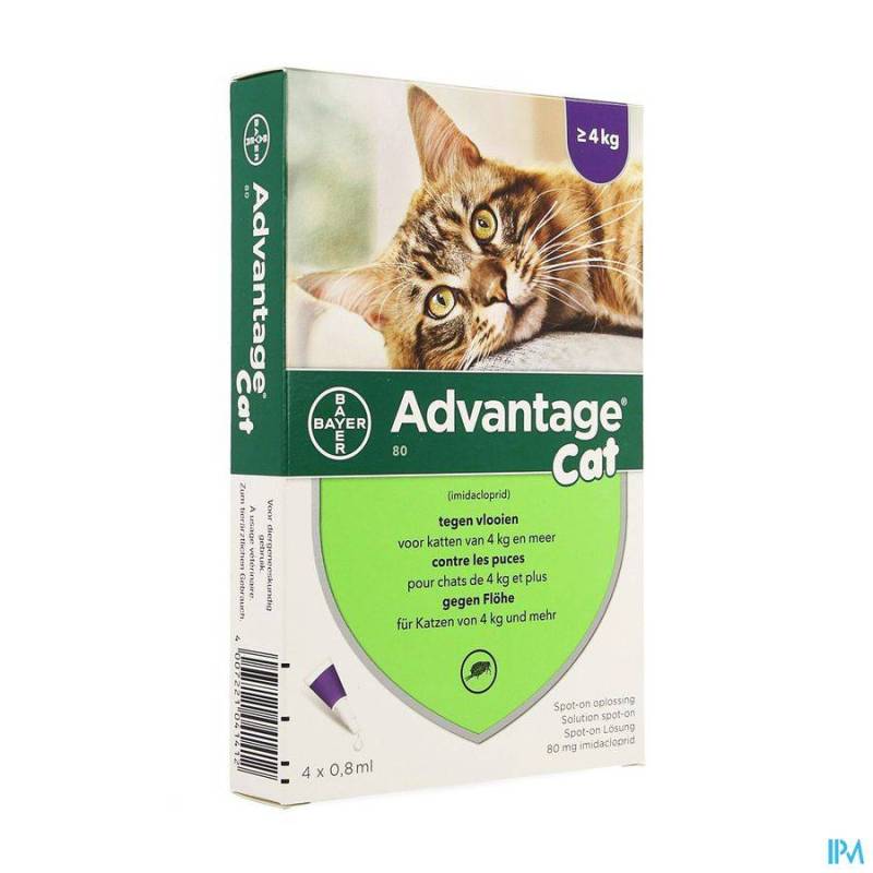 ADVANTAGE 80 CHATS >4KG 4X0,8ML