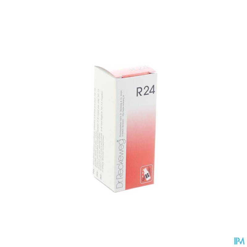 RECKEWEG DR. R24 GUTT 50ML