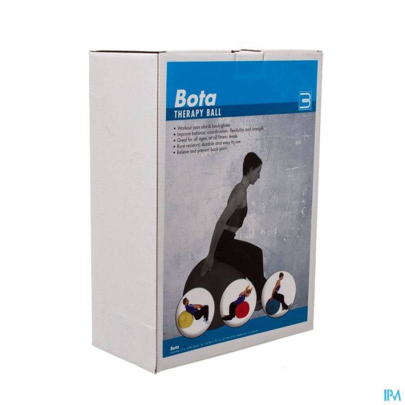JOBRI EXERSWISS THERAPY BAL 65CM 32300503