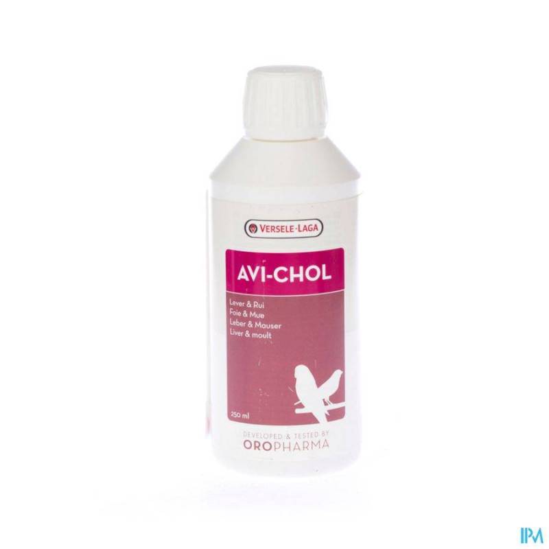 AVI-CHOL LIQ 250ML