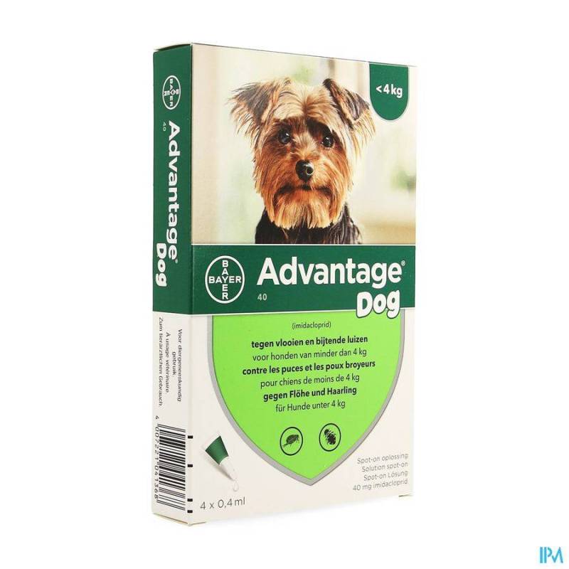 Advantage 40 Honden 