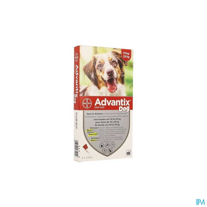 ADVANTIX 250/1250 CHIENS 10