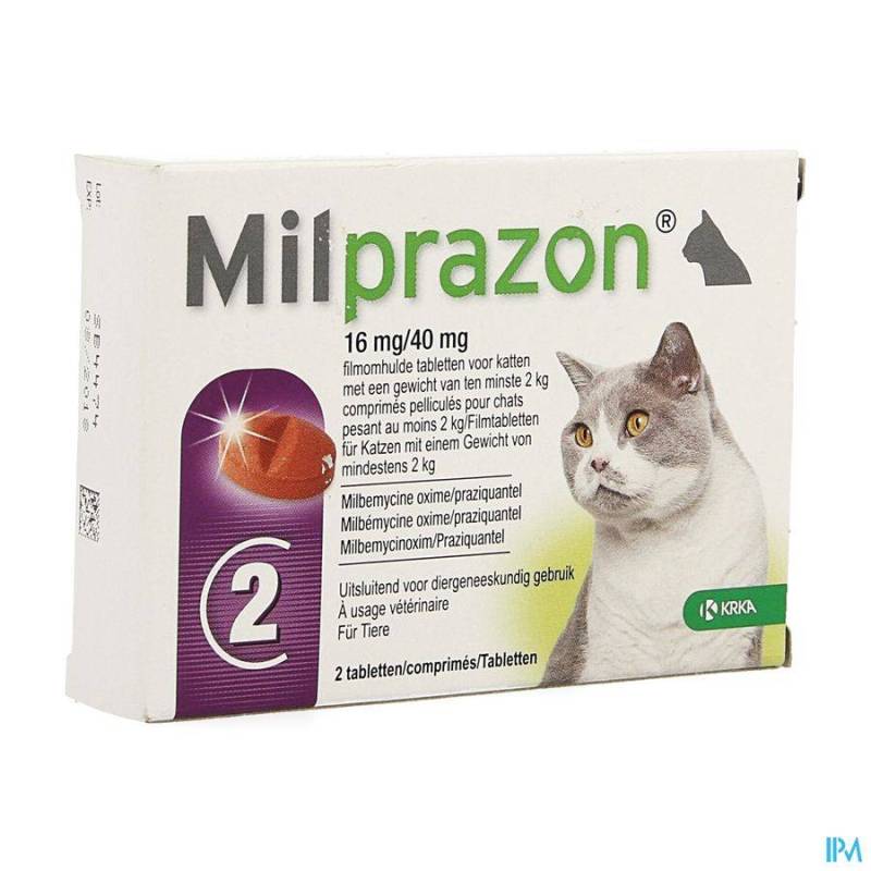 MILPRAZON 16MG/ 40MG CHAT 2KG COMP 1X2