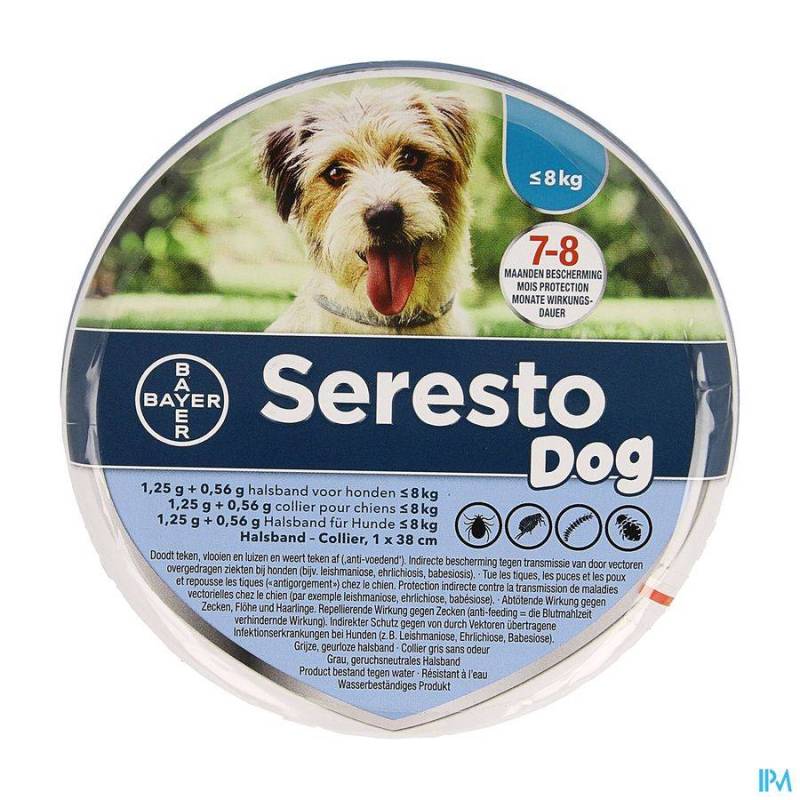 SERESTO DOG 1,25G 0,56G COLLIER  8KG